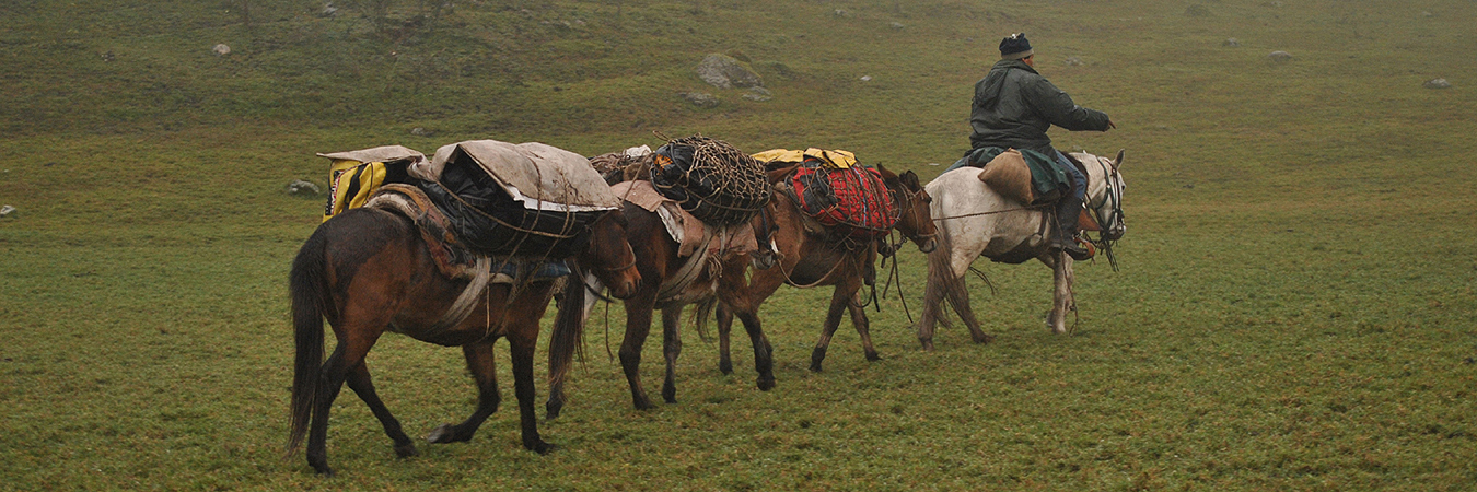 Por la senda del Tafí | Acampar Trek