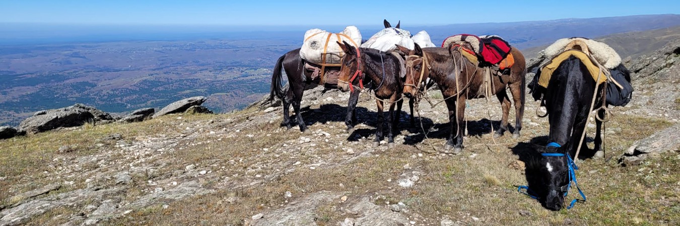 Champaquí Cabalgata y Trekking | Acampar Trek
