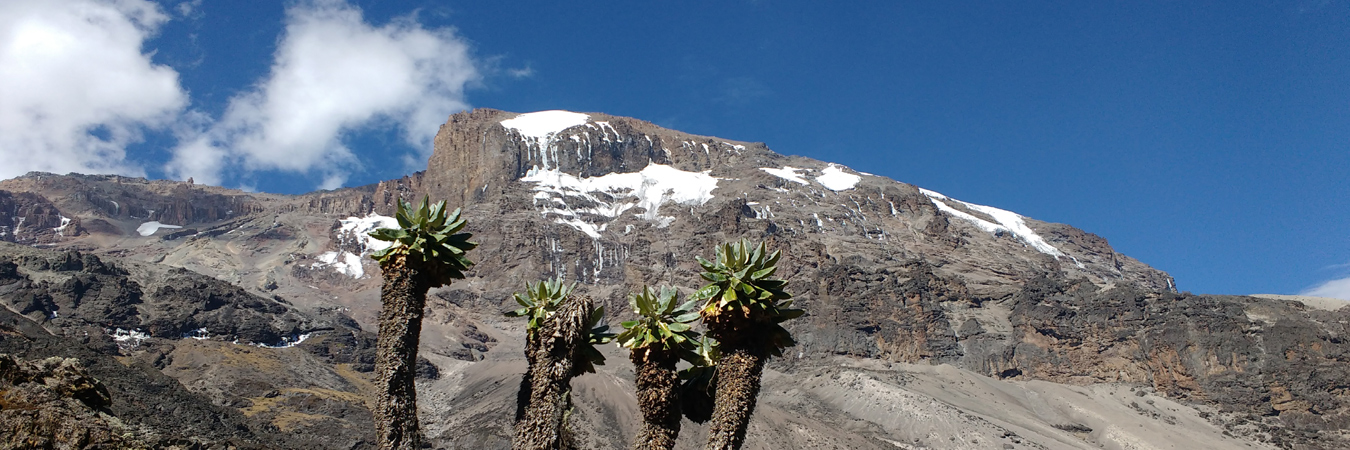 Kilimanjaro  | Acampar Trek