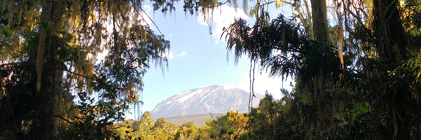 Kilimanjaro  | Acampar Trek