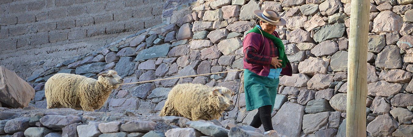 Trekking de Iruya a Nazareno | Acampar Trek
